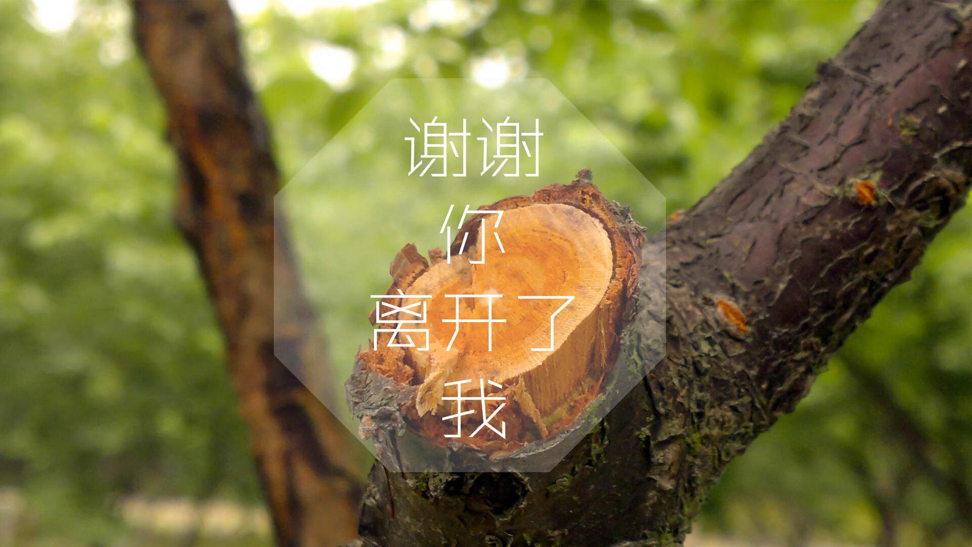 开云官方网站-篮球运动员力量训练计划全面落实，篮球运动员力量素质