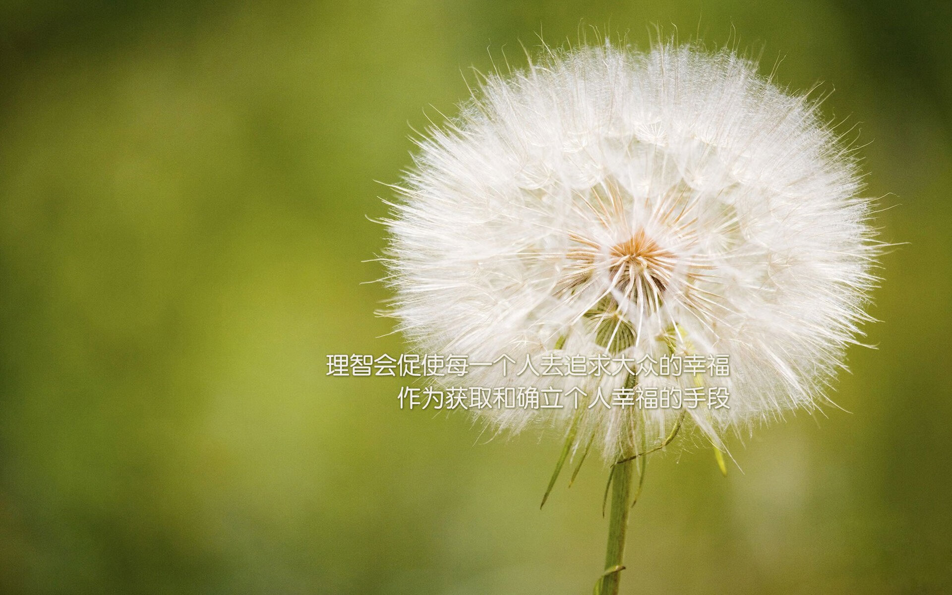 助教雪中送炭解决困局，球队前景一片明朗，送课助教