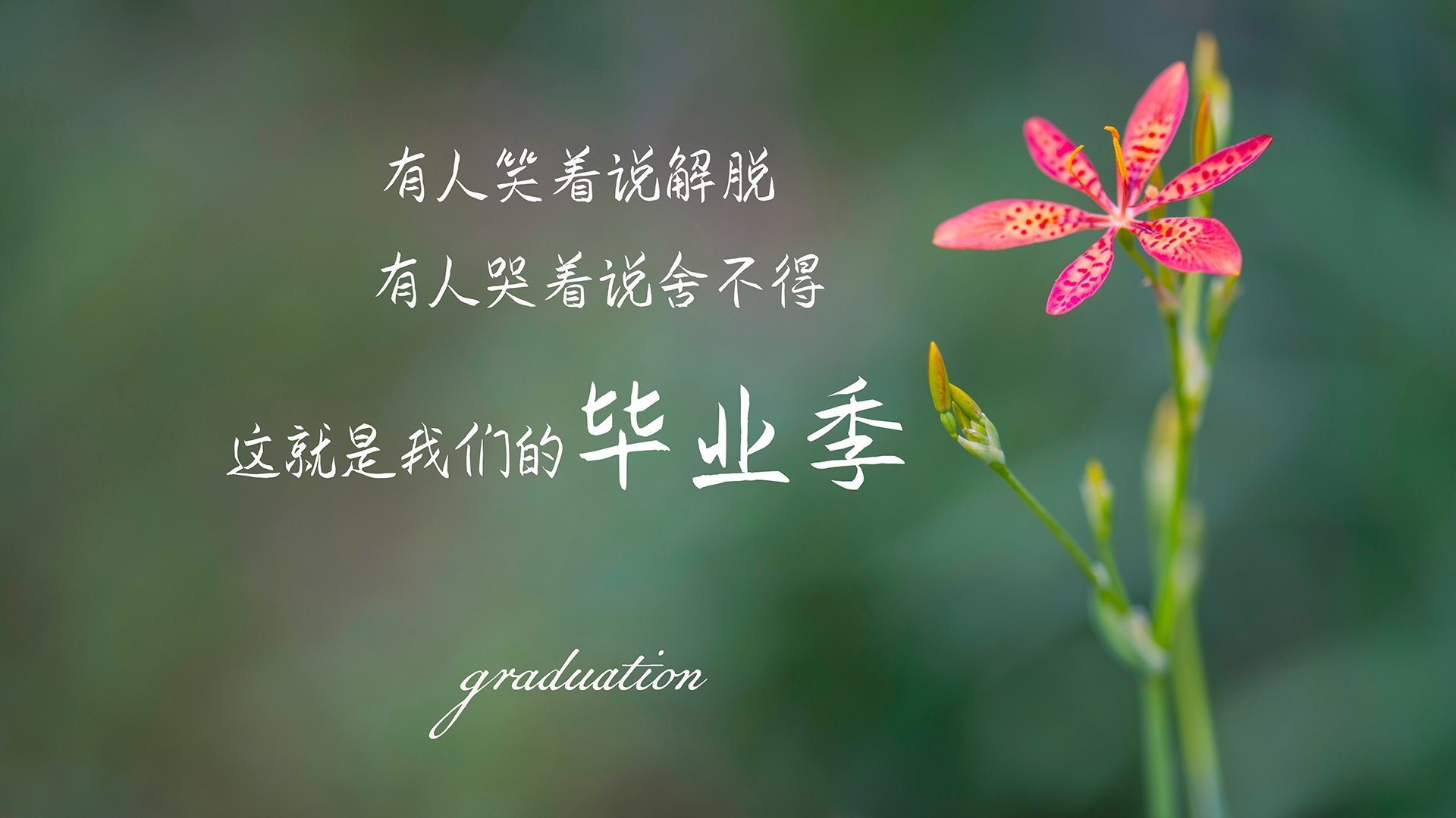 女足比赛中，中国队展现出统一配合，中国女足同组对手