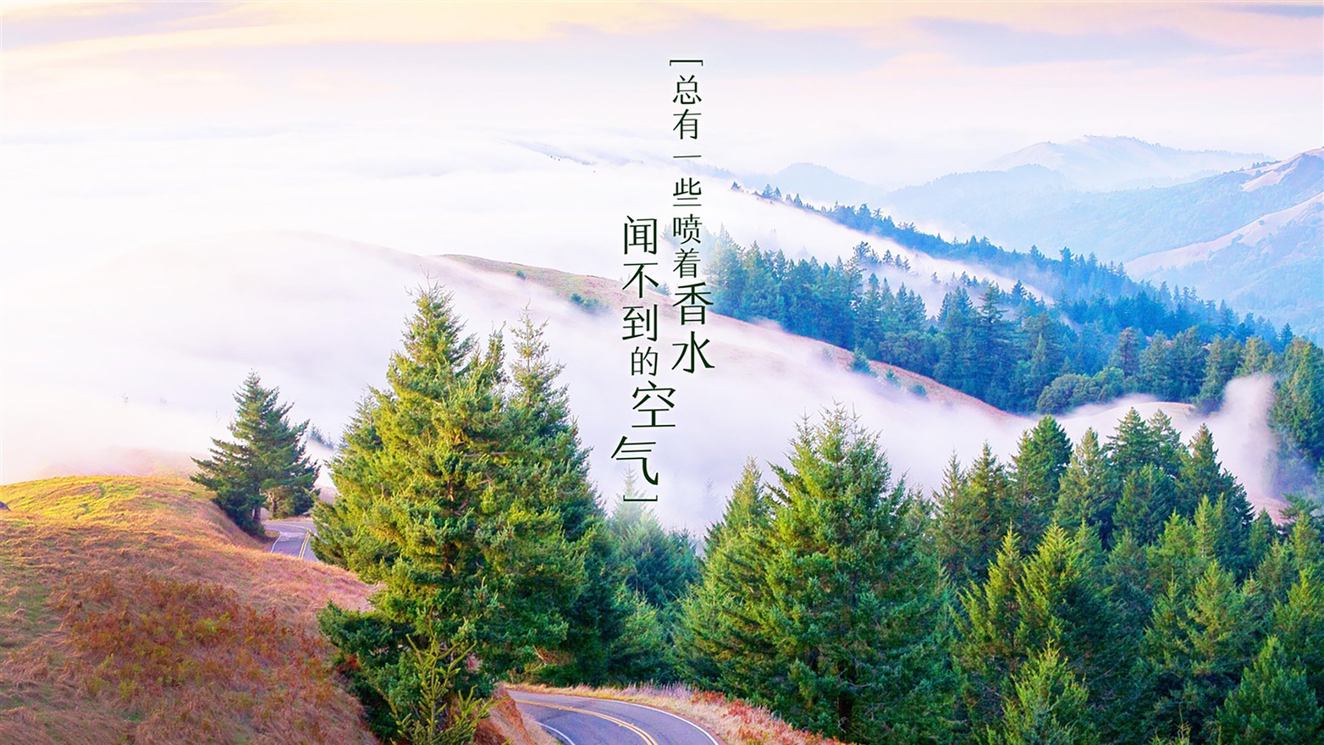 开云·Kaiyun网页版-瑞士球队备战东方豪强，决战瞬息间，瑞士队百科