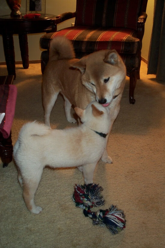 开云官网-教练组战术调度助力战绩提升，教练组战术调度助力战绩提升怎么写