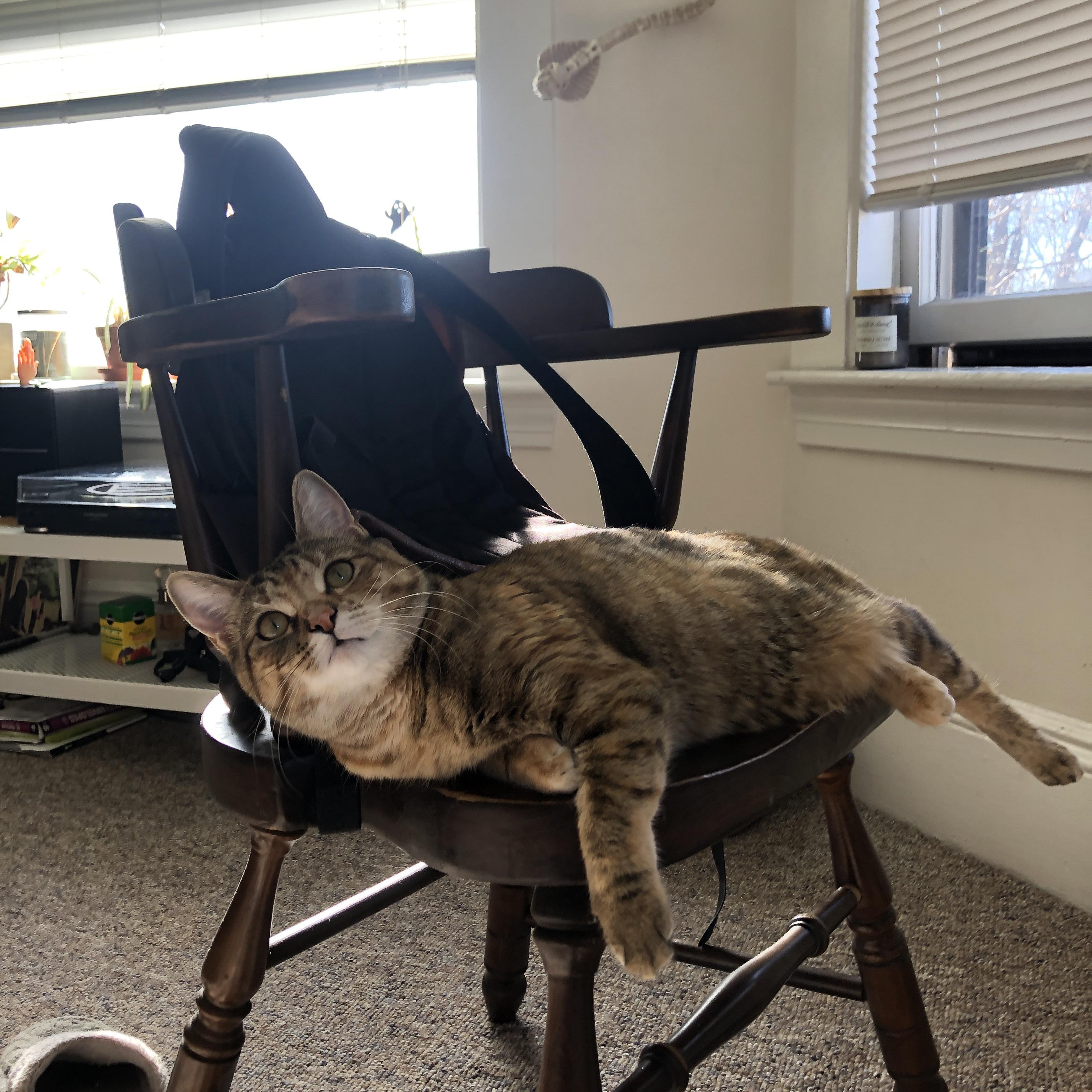 kaiyun.com-训练方法创新促进成绩突破，如何训练创新能力