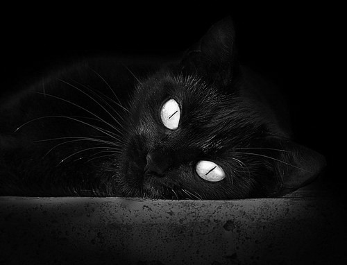 连胜终结后,球队表示将认真总结问题。,连胜结束