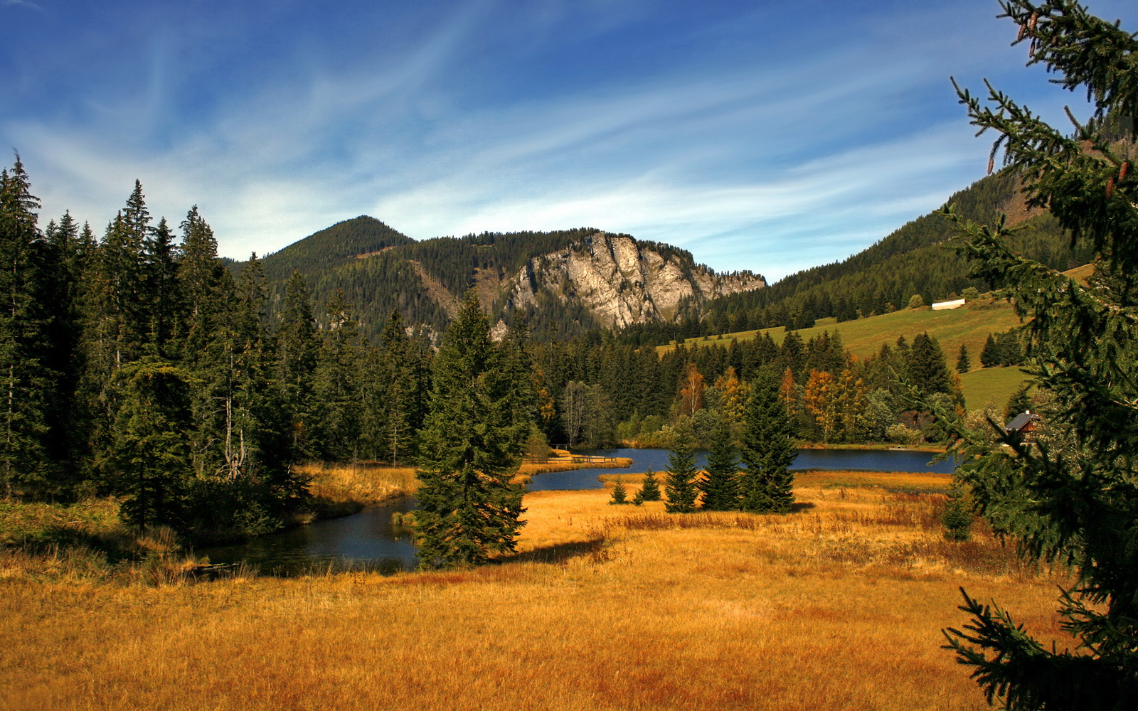 马龙与林高远合作创佳绩，混双项目走向未来，马龙指导林高远