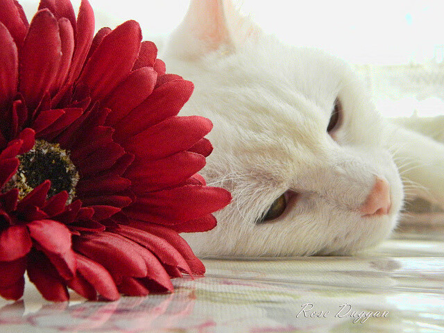 世界足球日主题活动各地火热展开,2020世界足球日主题