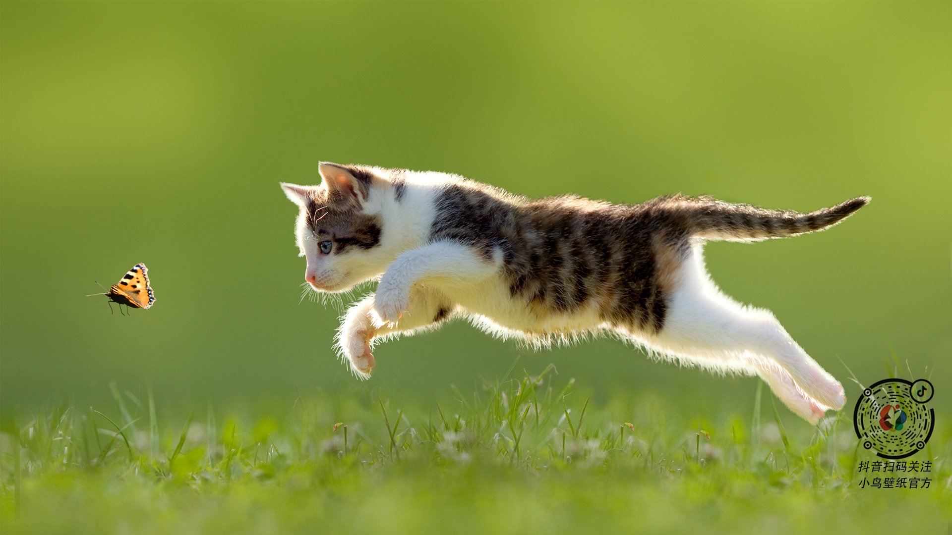 中小学篮球比赛纳入心理评估体系提升整体稳定性，篮球比赛心理分析