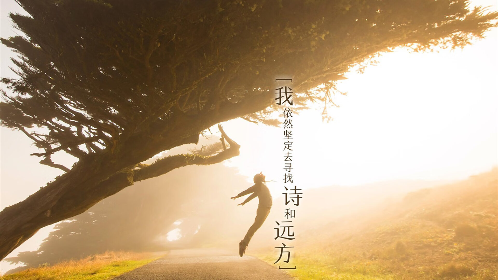 主帅强调全员健康是争冠关键各环节需确保人员状态稳定