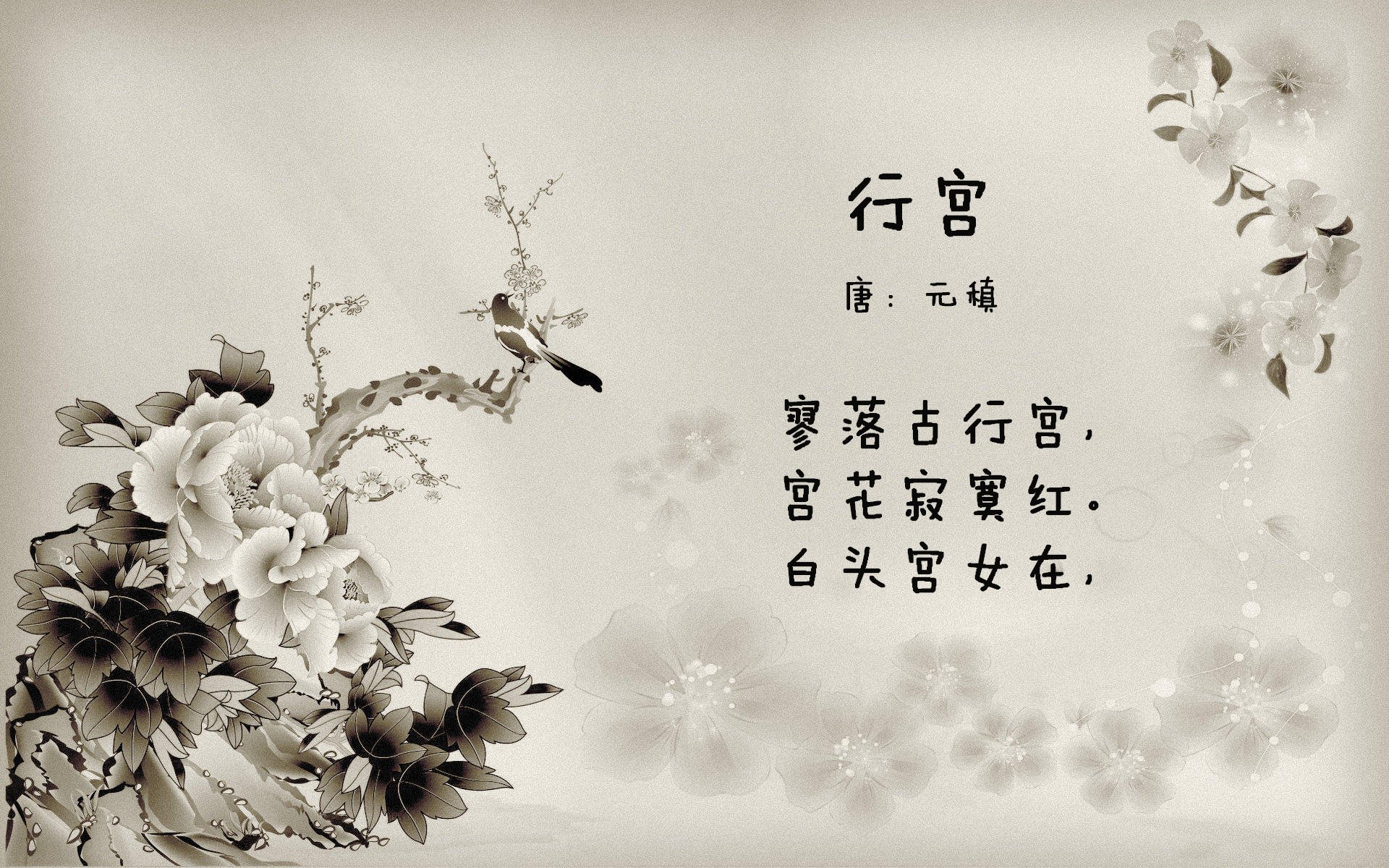 从新秀到巨星的成长轨迹，从新秀到巨星的成长轨迹漫画