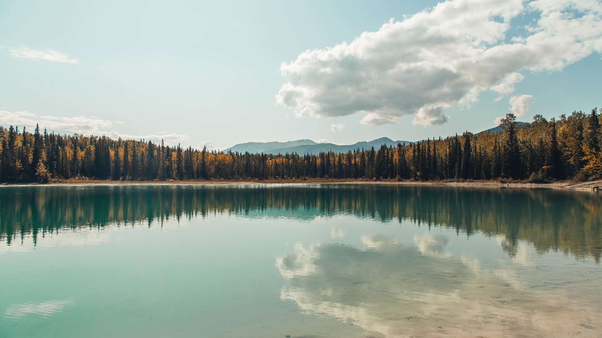 快船使用动捕技术优化球员跑动轨迹数据，快船训练视频