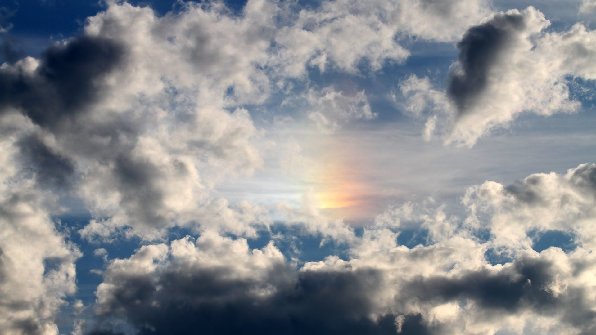 职业联赛整合球队档案馆系统化保存联赛历史，联赛球队怎么分档