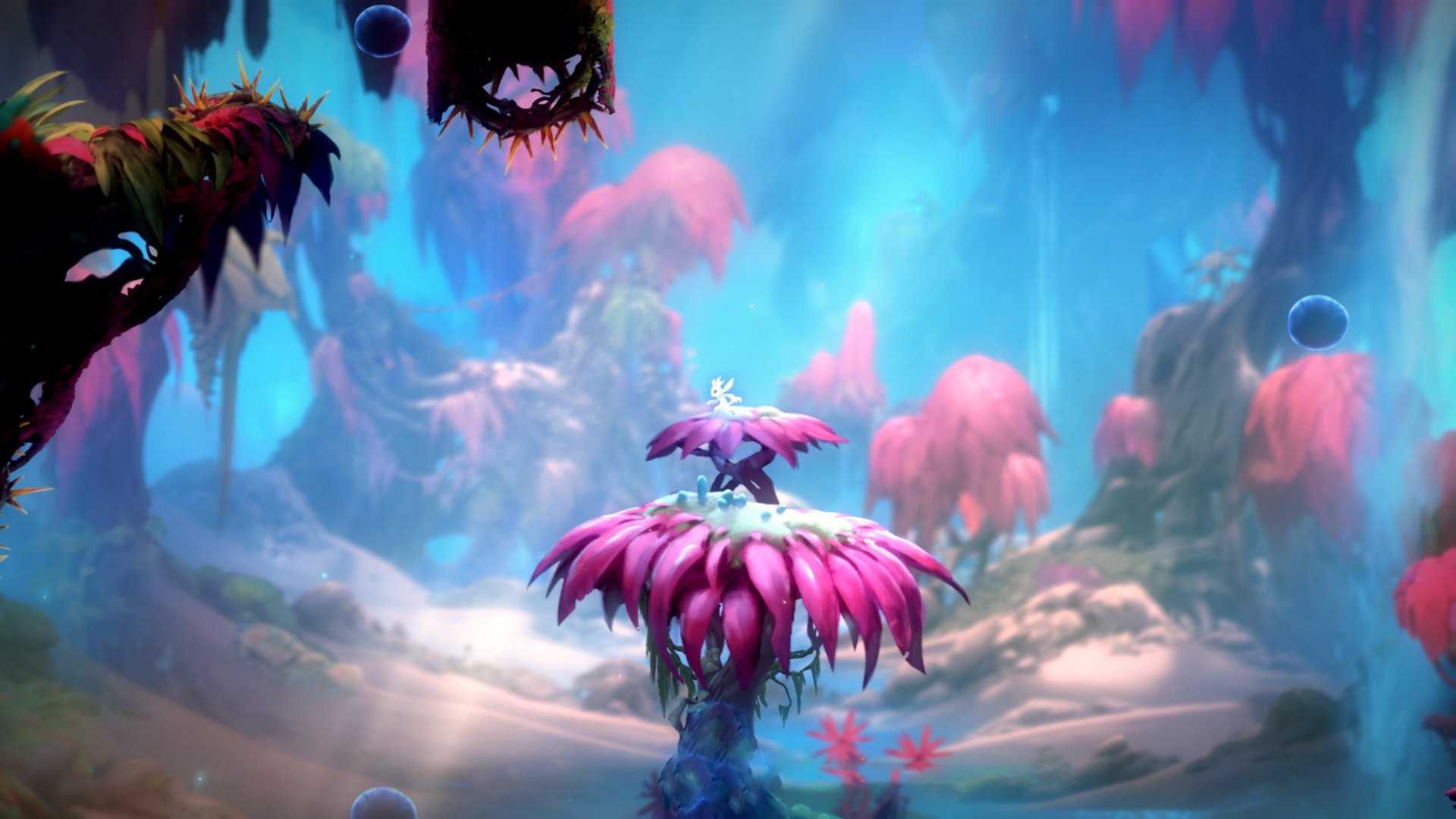 职业联赛鼓励本土教练参与顶级执教培训，职业联赛教练可以上场吗