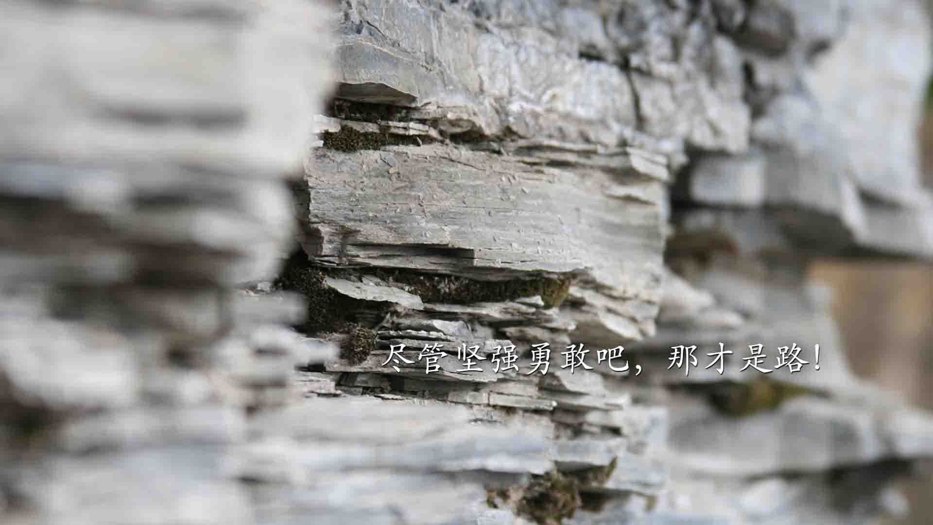 美洲杯震撼登场:全场精彩瞬间集锦!,美洲杯经典比赛