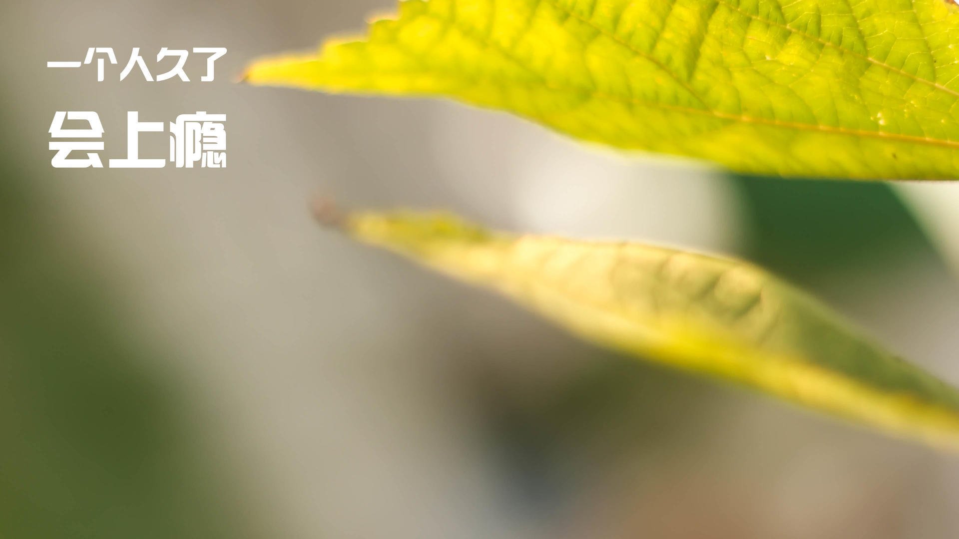 开云入口-英橄协发布2025年战略目标